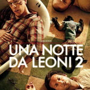 Una Notte da leoni 2